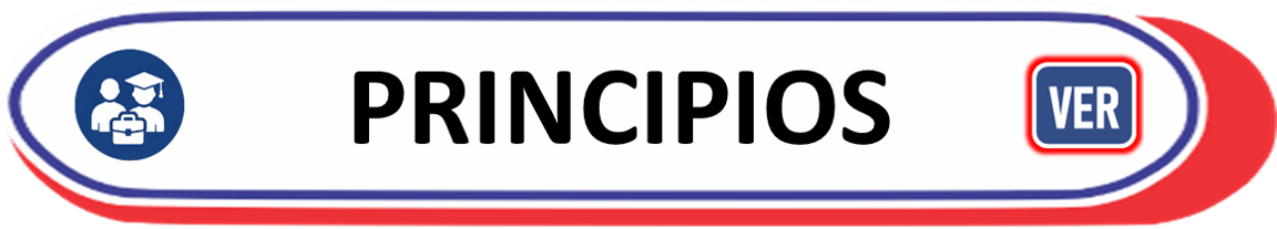 PRINCIPIOS